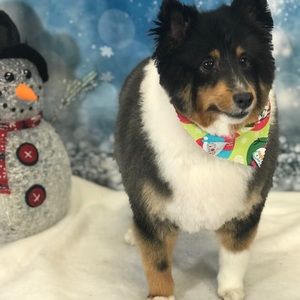 Meet your Posher, Gloria